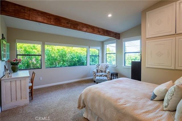 10845 Meads, Orange, CA 92869 - photo 41