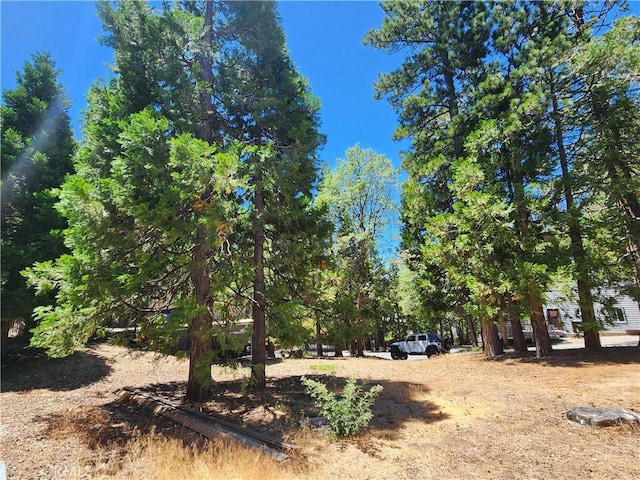0 Hemlock Dr, Lake Arrowhead, CA 92352 - photo 4