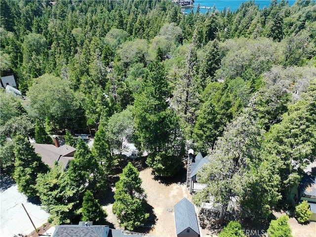 0 Hemlock Dr, Lake Arrowhead, CA 92352 - photo 23