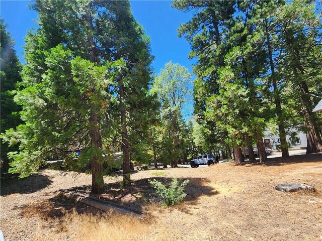 0 Hemlock Dr, Lake Arrowhead, CA 92352 - photo 11