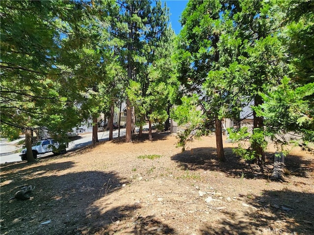 0 Hemlock Dr, Lake Arrowhead, CA 92352 - photo 12