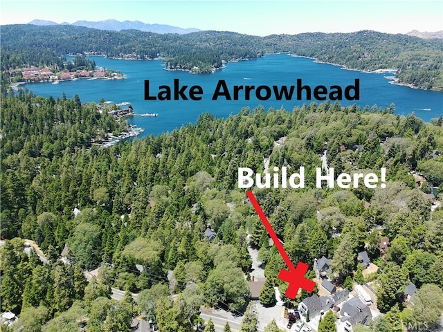 0 Hemlock Dr, Lake Arrowhead, CA 92352 - photo 5