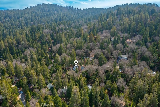 23884 Bowl Rd, Crestline, CA 92325 - photo 31