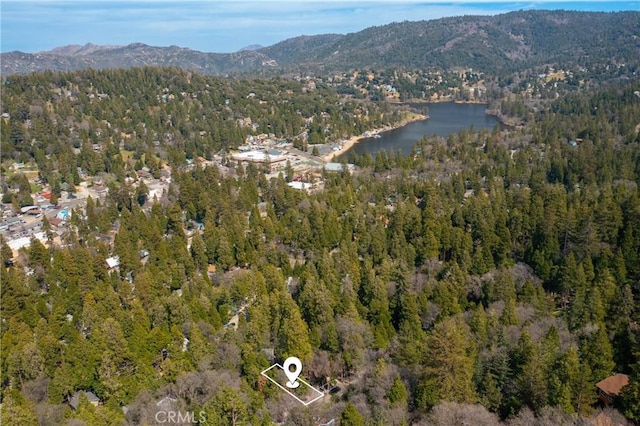 23884 Bowl Rd, Crestline, CA 92325 - photo 32