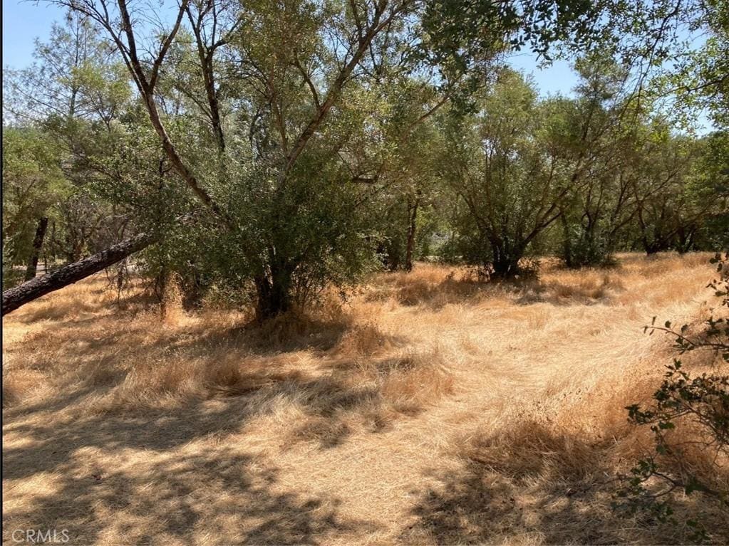 2870 Oro Garden Ranch Rd, Oroville, CA 95966 - photo 3