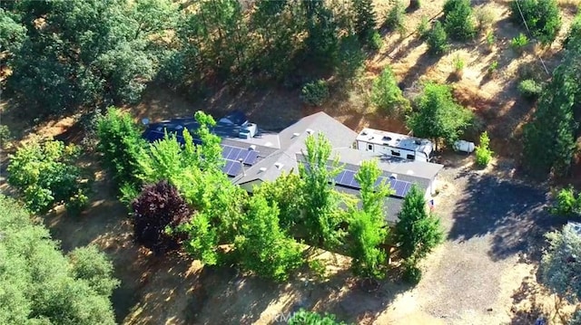 5419 Black Oak Ridge Rd, Mariposa, CA 95338 - photo 3