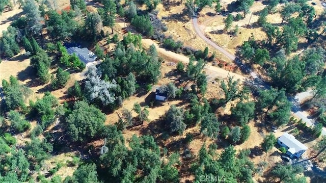 5419 Black Oak Ridge Rd, Mariposa, CA 95338 - photo 44