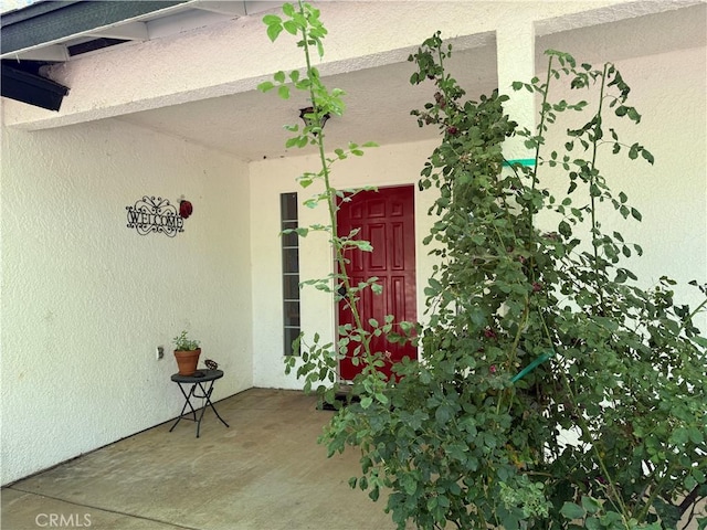 5419 Black Oak Ridge Rd, Mariposa, CA 95338 - photo 13