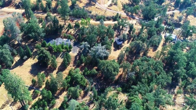 5419 Black Oak Ridge Rd, Mariposa, CA 95338 - photo 48