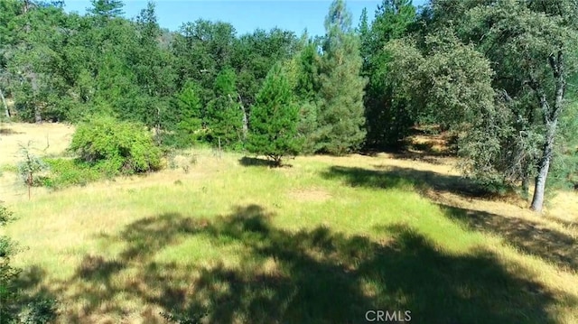 5419 Black Oak Ridge Rd, Mariposa, CA 95338 - photo 52