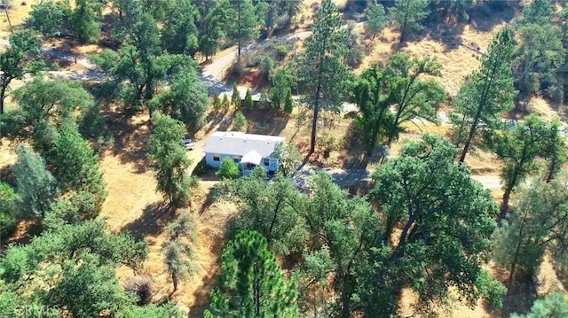 5419 Black Oak Ridge Rd, Mariposa, CA 95338 - photo 51