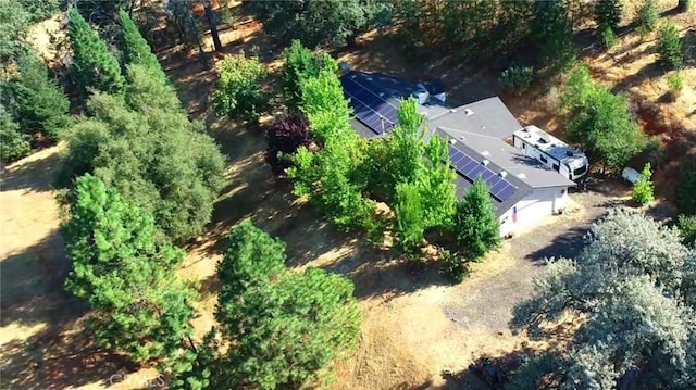 5419 Black Oak Ridge Rd, Mariposa, CA 95338 - photo 1
