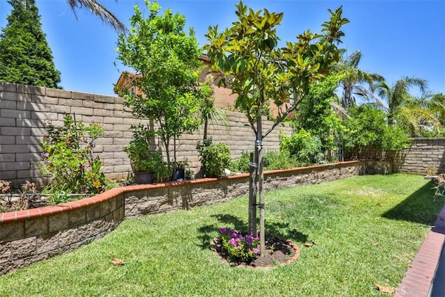 15474 Petunia St, Fontana, CA 92336 - photo 66