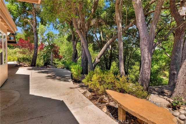 117 Frontier Way, Templeton, CA 93465 - photo 45
