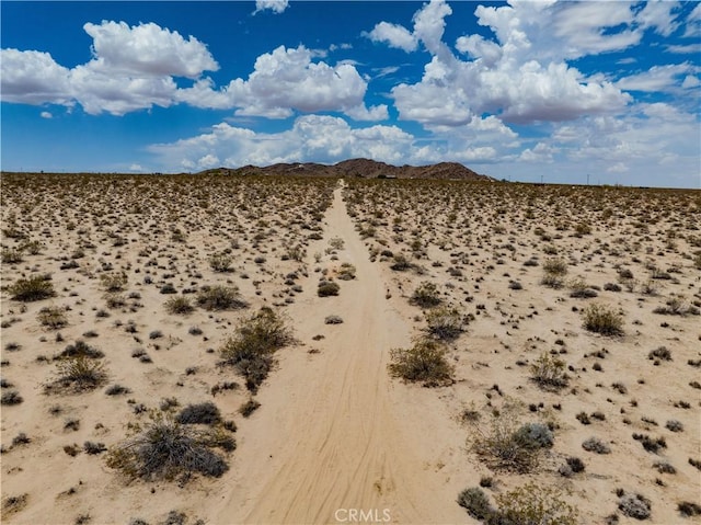 63840 Desert Lily St, Joshua Tree, CA 92252 - photo 2