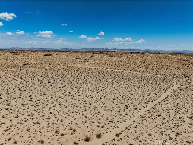 63840 Desert Lily St, Joshua Tree, CA 92252 - photo 15