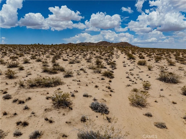 63840 Desert Lily St, Joshua Tree, CA 92252 - photo 3