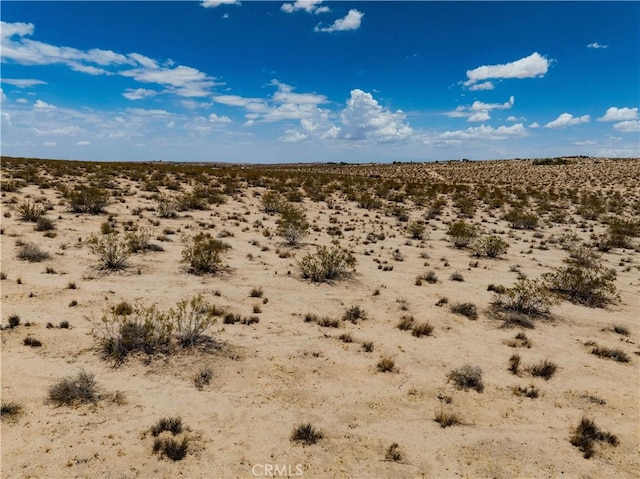 63840 Desert Lily St, Joshua Tree, CA 92252 - photo 32