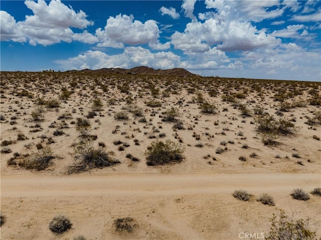 63840 Desert Lily St, Joshua Tree, CA 92252 - photo 34