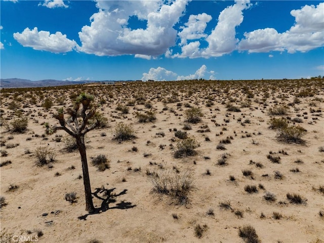 63840 Desert Lily St, Joshua Tree, CA 92252 - photo 28
