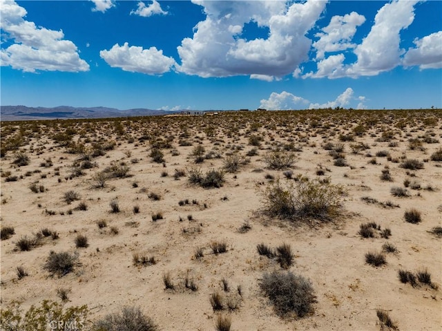63840 Desert Lily St, Joshua Tree, CA 92252 - photo 30