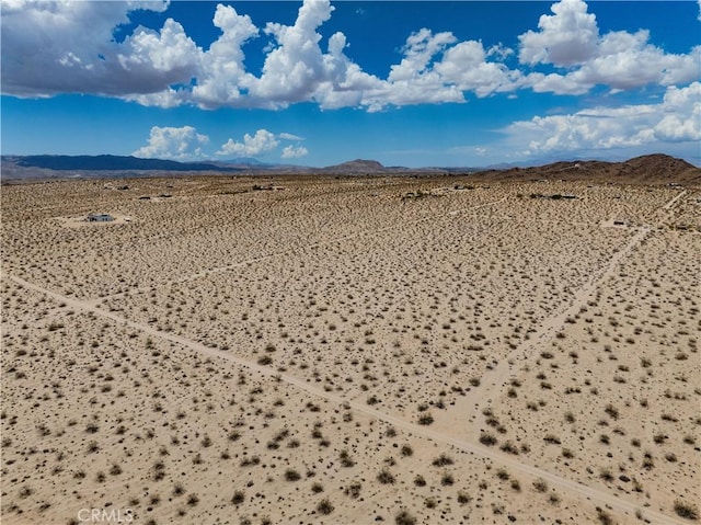 63840 Desert Lily St, Joshua Tree, CA 92252 - photo 10