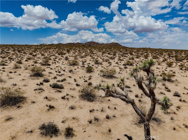 63840 Desert Lily St, Joshua Tree, CA 92252 - photo 27