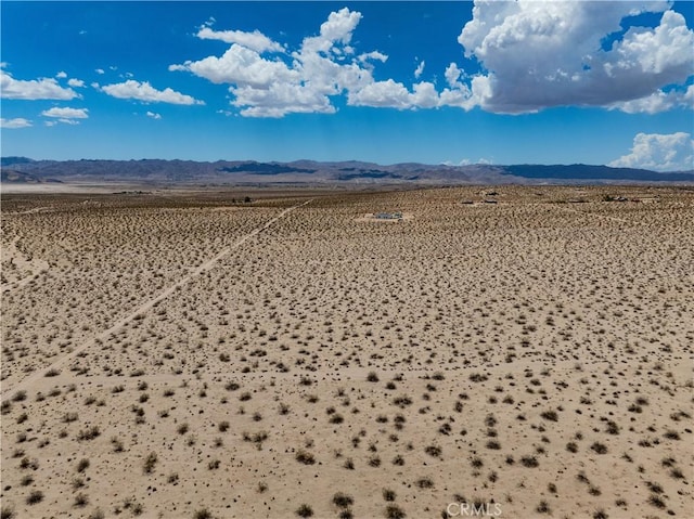 63840 Desert Lily St, Joshua Tree, CA 92252 - photo 11