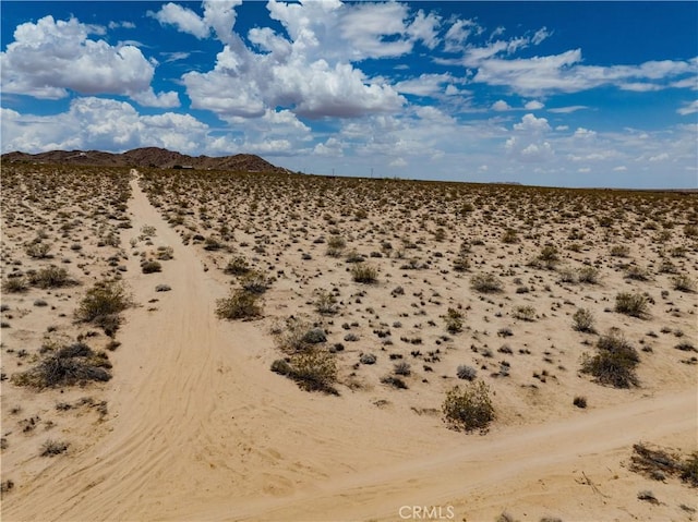 63840 Desert Lily St, Joshua Tree, CA 92252 - photo 26