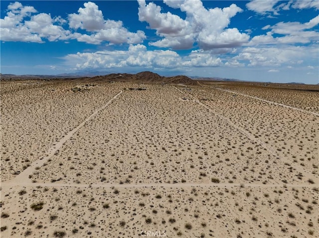 63840 Desert Lily St, Joshua Tree, CA 92252 - photo 4