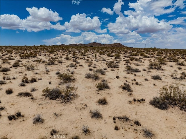 63840 Desert Lily St, Joshua Tree, CA 92252 - photo 29