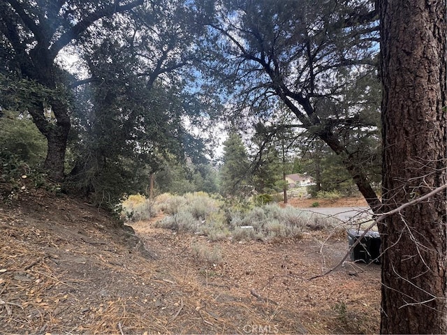1772 Ash Rd, Wrightwood, CA 92397 - photo 2