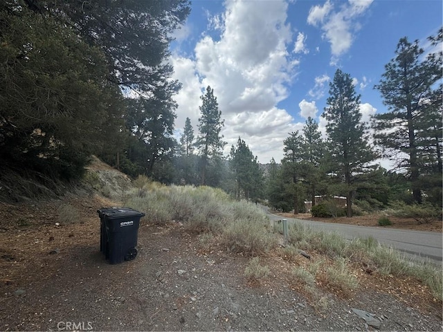 1772 Ash Rd, Wrightwood, CA 92397 - photo 3