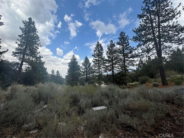 1772 Ash Rd, Wrightwood, CA 92397 - photo 5