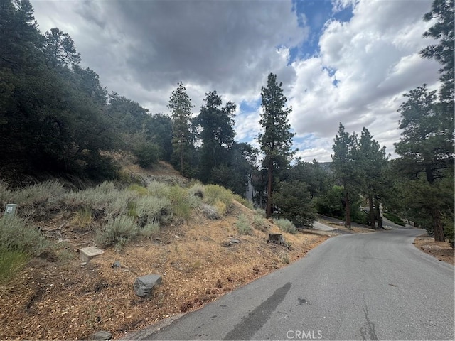 1772 Ash Rd, Wrightwood, CA 92397 - photo 1