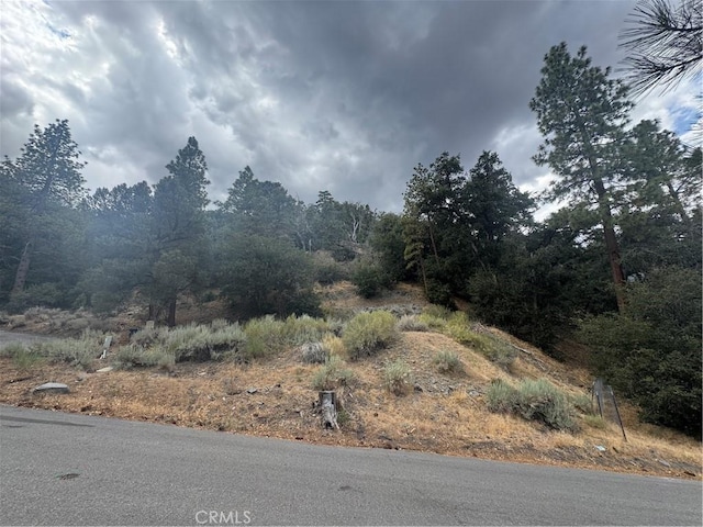 1772 Ash Rd, Wrightwood, CA 92397 - photo 6