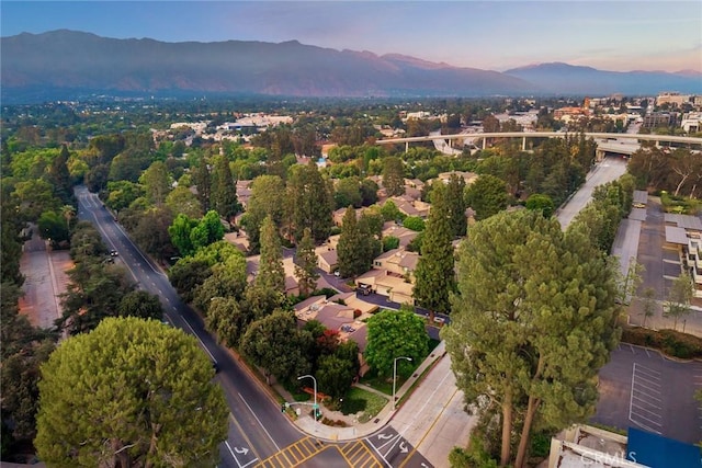 242 N Orange Grove Blvd, Pasadena, CA 91103 - photo 2