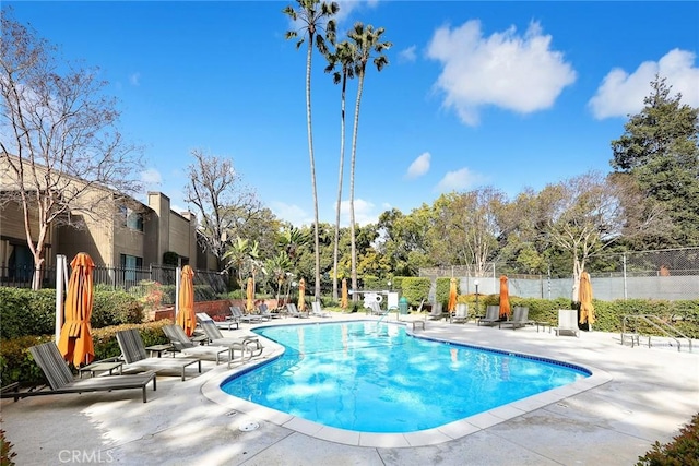 242 N Orange Grove Blvd, Pasadena, CA 91103 - photo 33