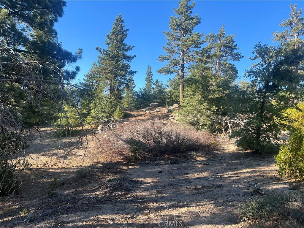 0 Deer Lick Dr, Arrowbear, CA 92382 - photo 2