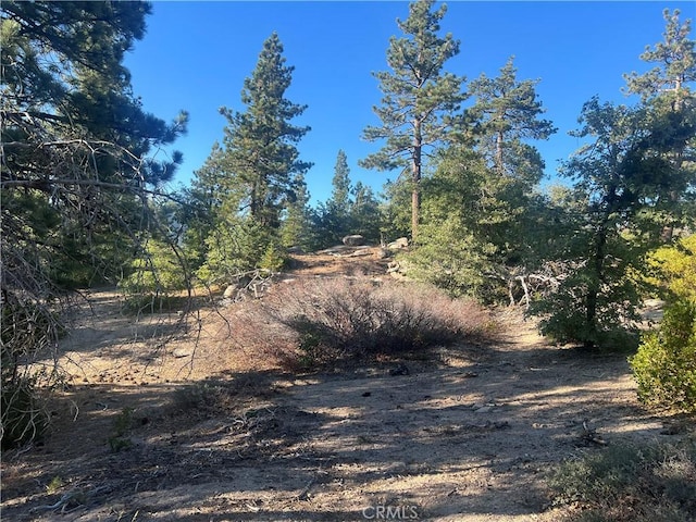 0 Deer Lick Dr, Arrowbear, CA 92382 - photo 2