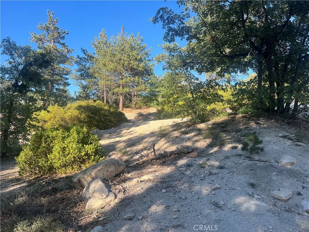 0 Deer Lick Dr, Arrowbear, CA 92382 - photo 1