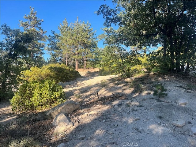 0 Deer Lick Dr, Arrowbear, CA 92382 - photo 1