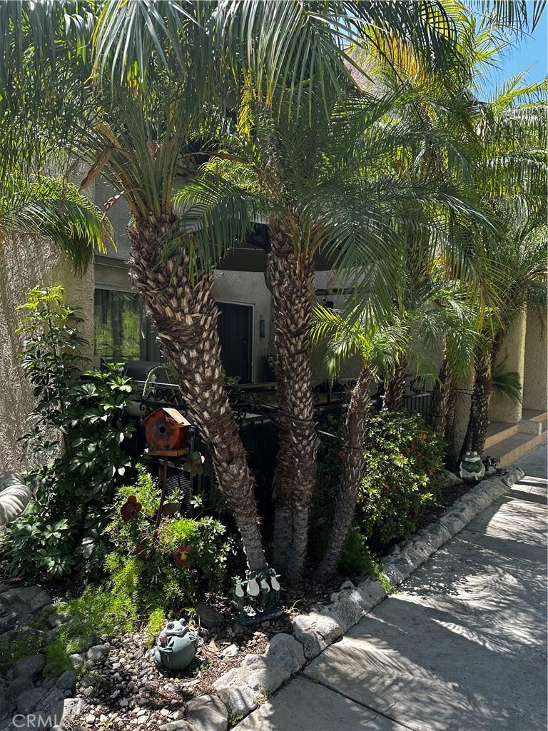 7800 Via Genova, Burbank, CA 91504 - photo 2
