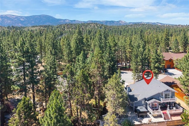 737 E Mountain View Blvd, Big Bear City, CA 92314 - photo 3