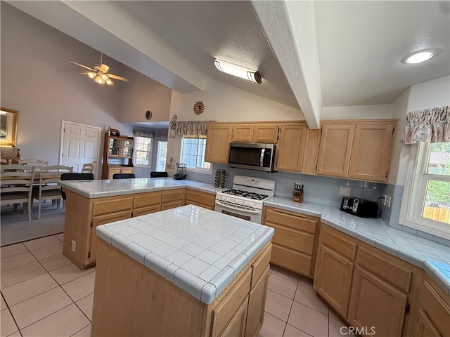737 E Mountain View Blvd, Big Bear City, CA 92314 - photo 38