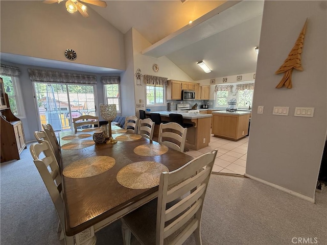737 E Mountain View Blvd, Big Bear City, CA 92314 - photo 42