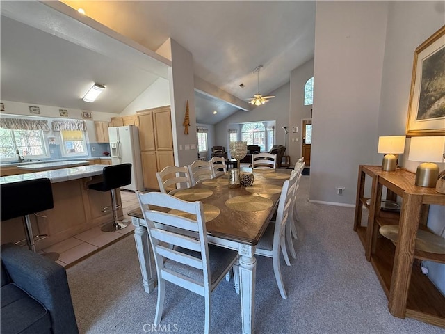737 E Mountain View Blvd, Big Bear City, CA 92314 - photo 43