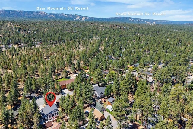 737 E Mountain View Blvd, Big Bear City, CA 92314 - photo 14