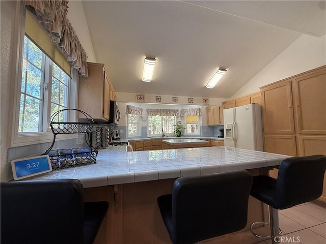 737 E Mountain View Blvd, Big Bear City, CA 92314 - photo 40