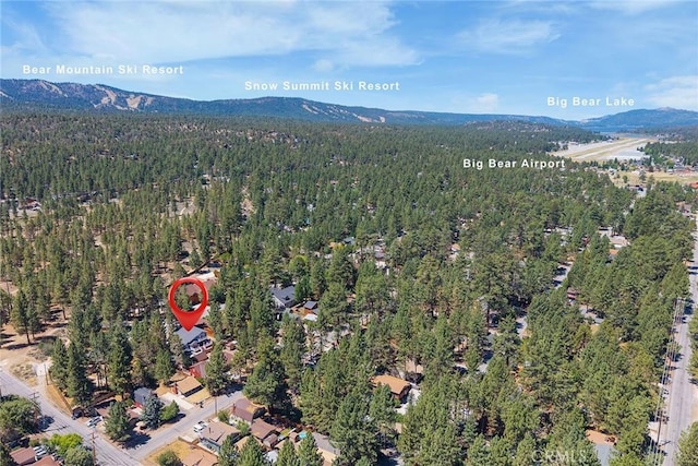 737 E Mountain View Blvd, Big Bear City, CA 92314 - photo 12